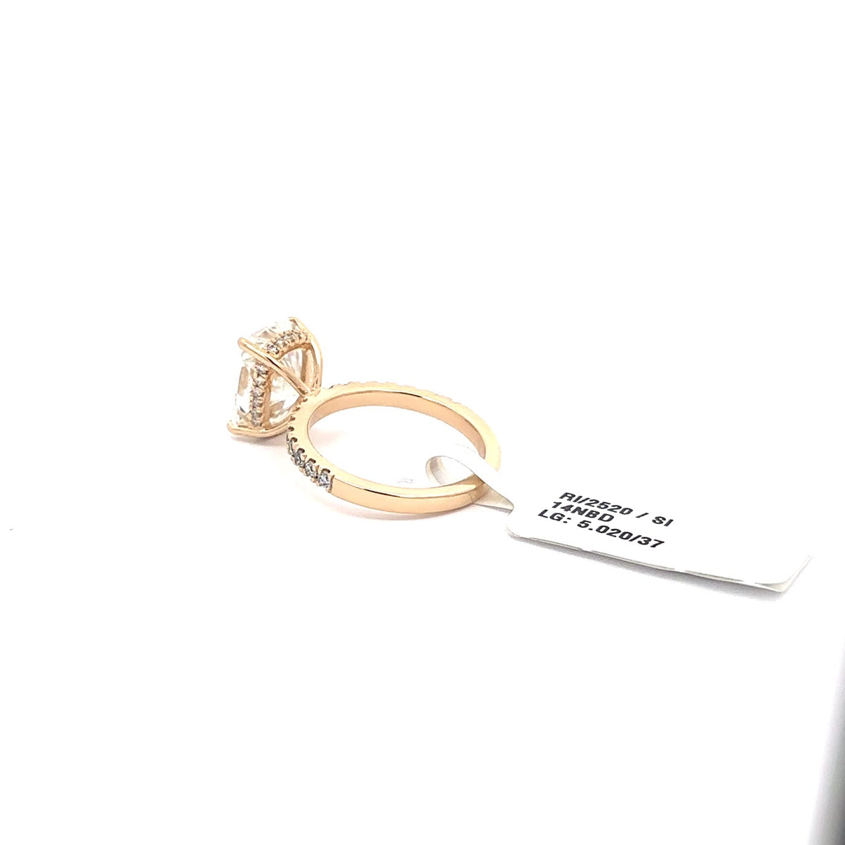 The Coralie Elongated Cushion Hidden-Halo Solitaire Ring