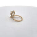 The Florence Radiant Hidden-Halo Ring